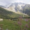 A-2011-Tour Mont Blanc-008
