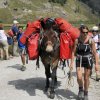 A-2011-Tour Mont Blanc-058