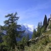 A-2011-Tour Mont Blanc-163
